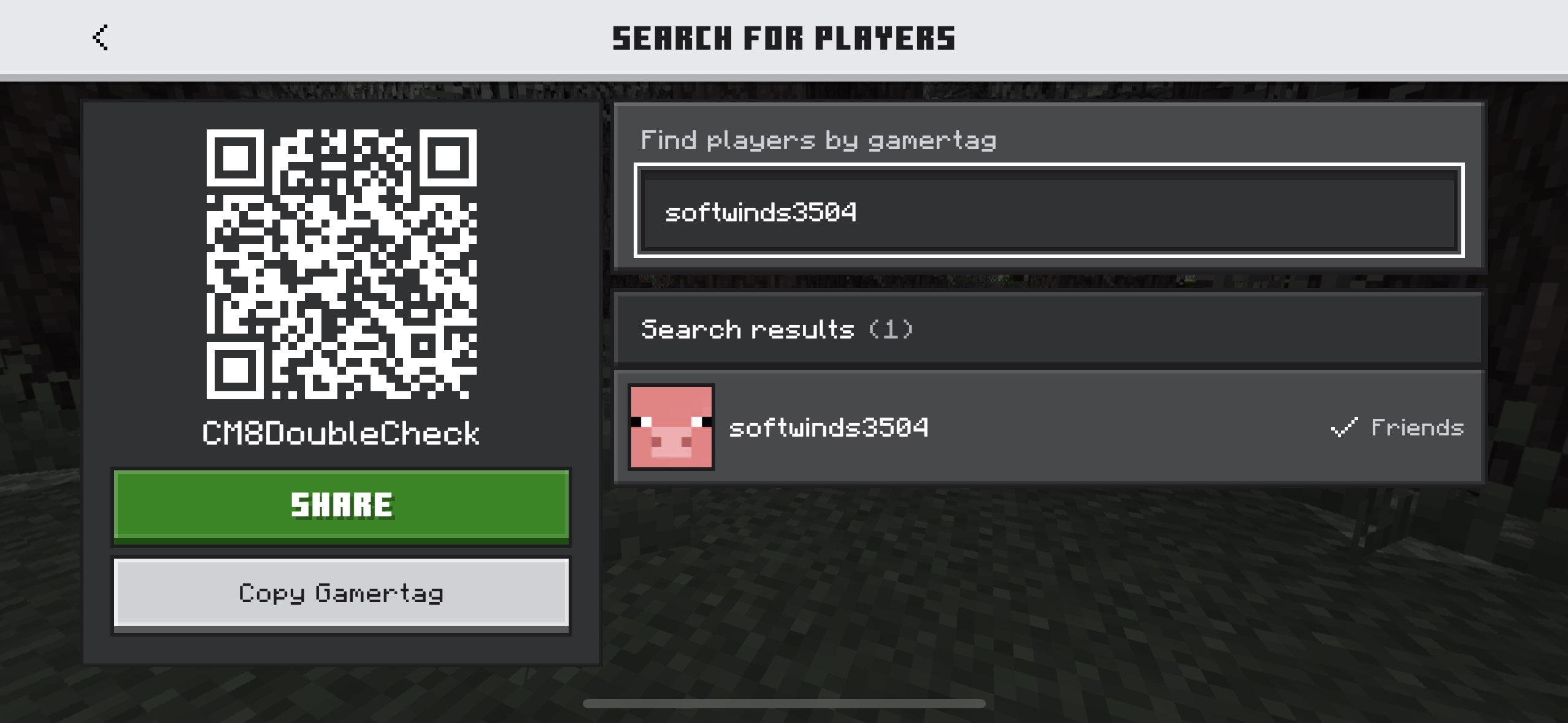 Add softwinds3504 as Friend